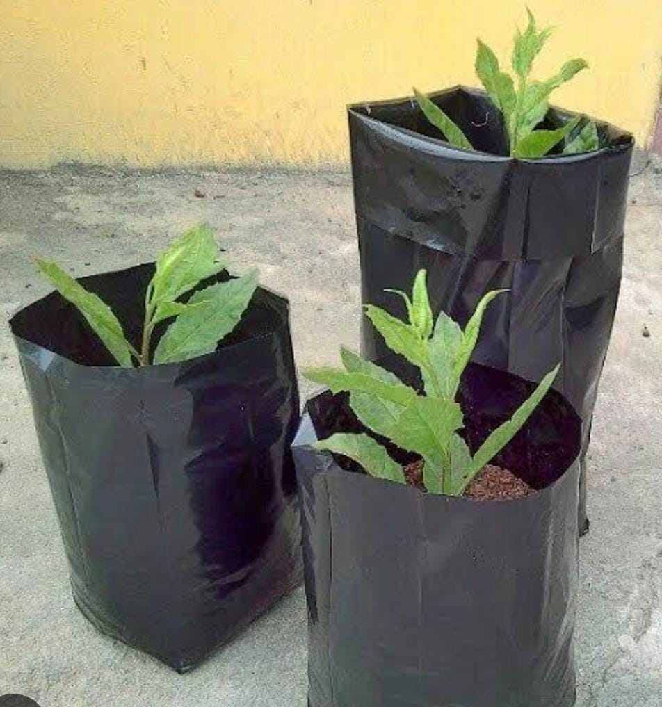 NURSERY BAG